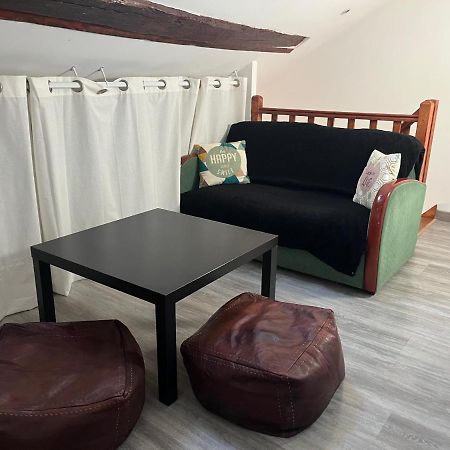 Appartement Centre Historique ブロワ エクステリア 写真