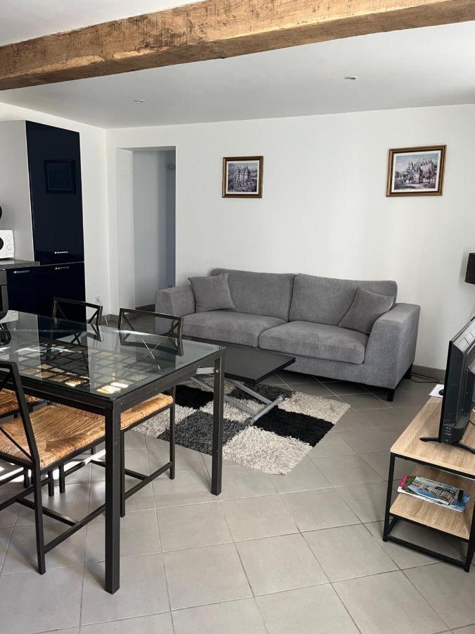 Appartement Centre Historique ブロワ エクステリア 写真