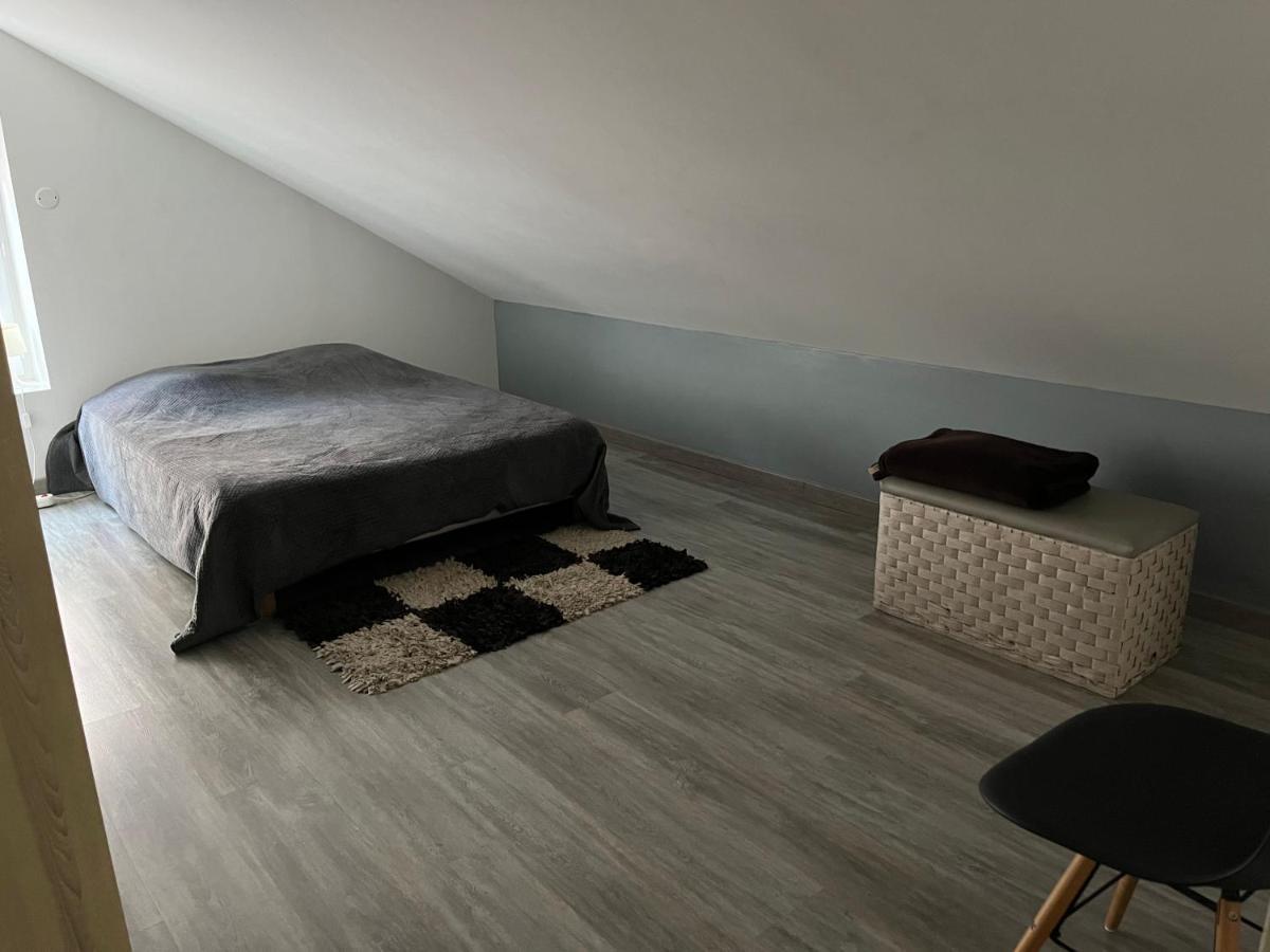 Appartement Centre Historique ブロワ エクステリア 写真