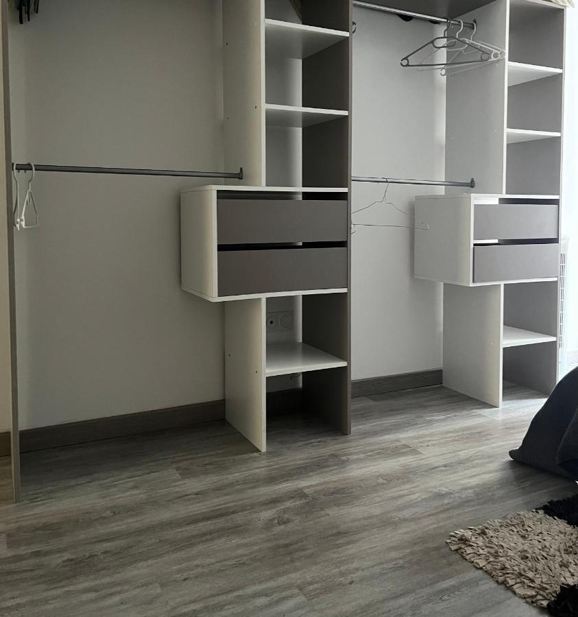 Appartement Centre Historique ブロワ エクステリア 写真