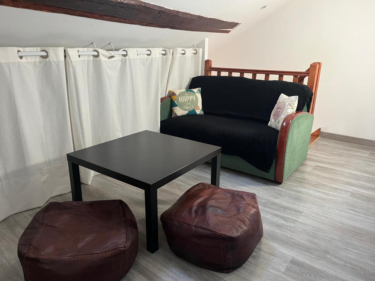 Appartement Centre Historique ブロワ エクステリア 写真