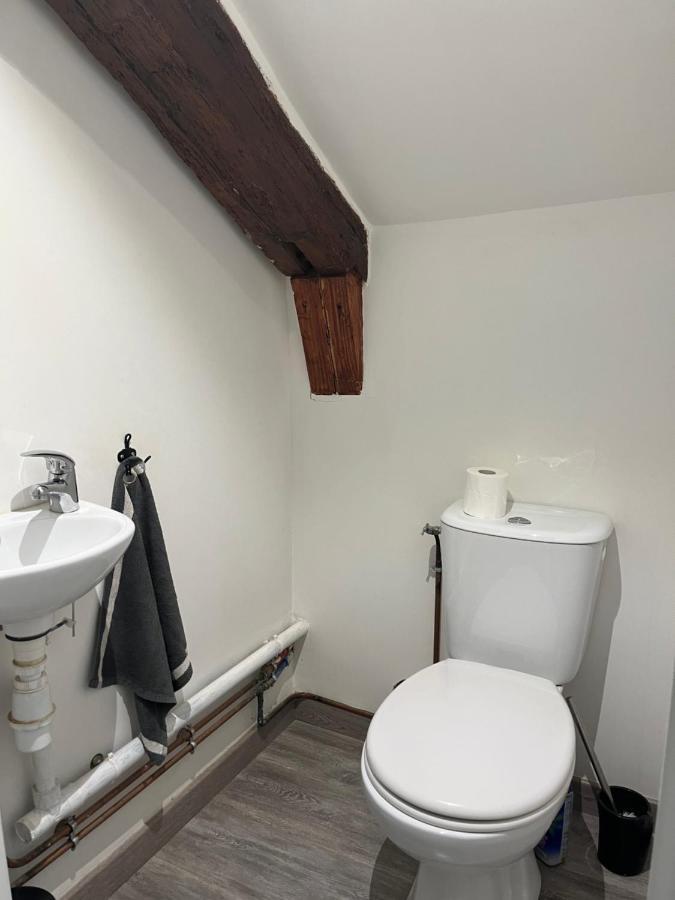 Appartement Centre Historique ブロワ エクステリア 写真
